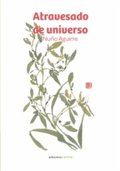 Atravesado de universo